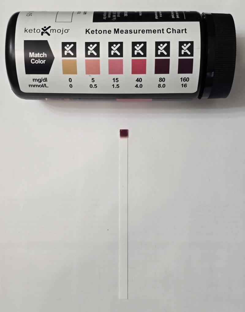 Day 39 ketone strip next to the color chart showing 16 mmol/L