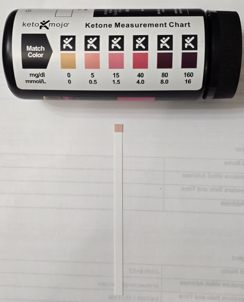 Ketone strip on day 48 next to the 0.5 pad on the chart