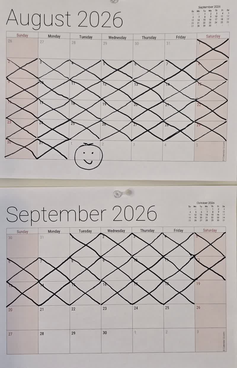 Calendar with day 49 crossed off