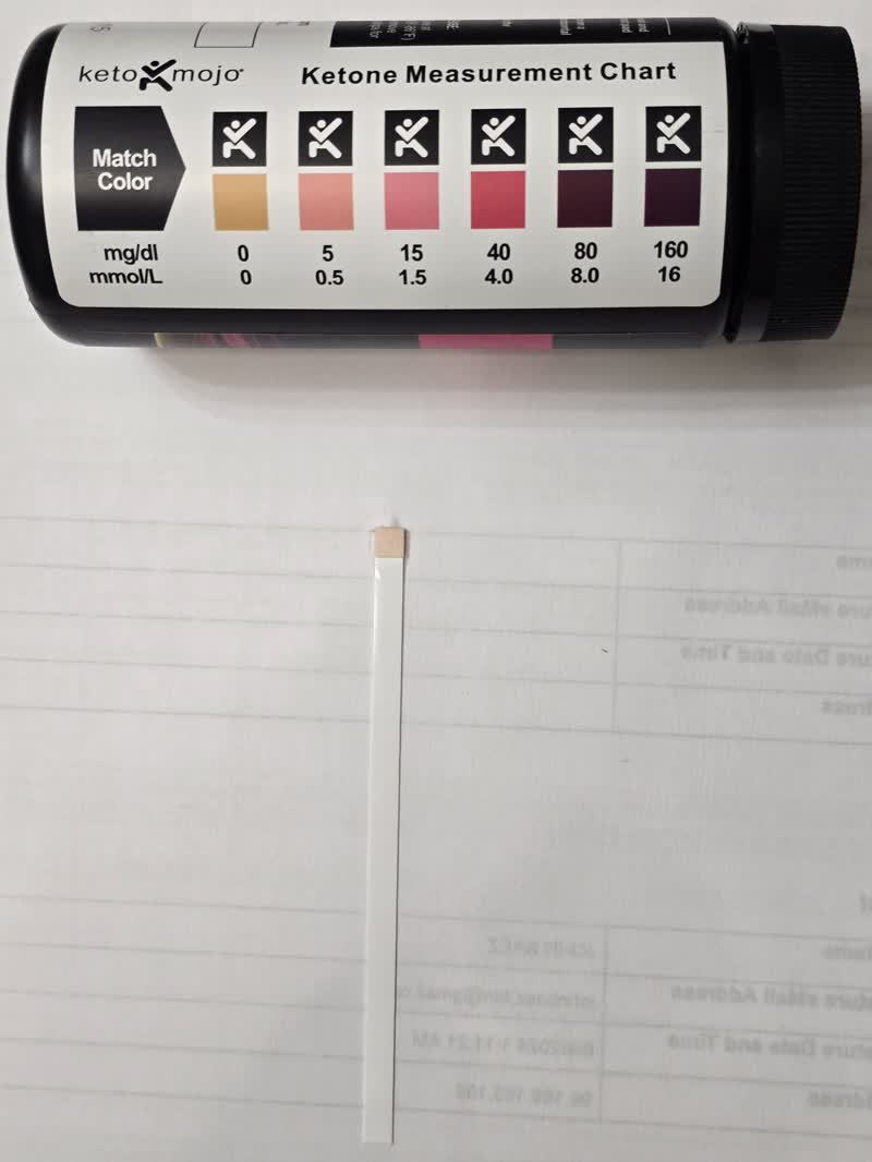 Ketone strip reading zero on day 49 next to the chart