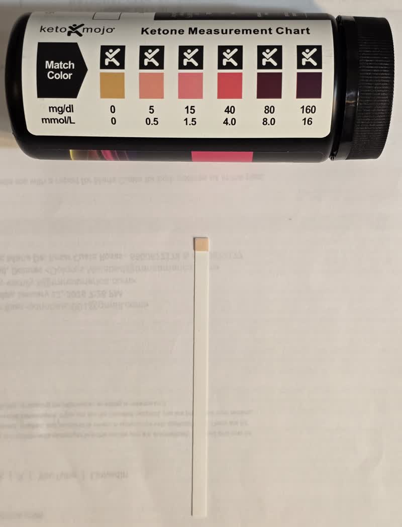 Ketone strip reading zero on day 50 next to the chart