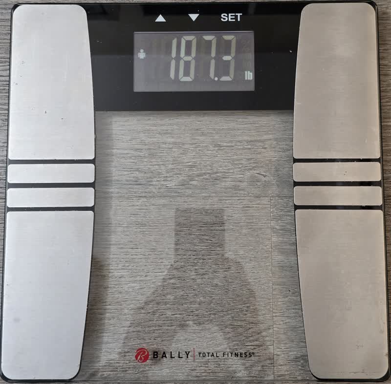 Scale reading 187.3 pounds on the morning of day 51
