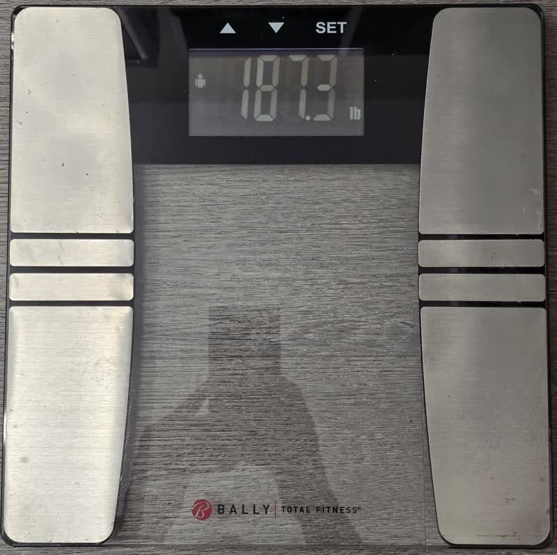 Scale reading 187.3 pounds on the morning of day 54
